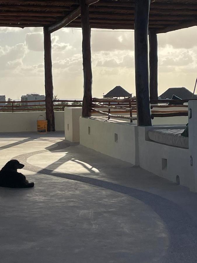 Casa Molly Διαμέρισμα Isla Holbox Εξωτερικό φωτογραφία