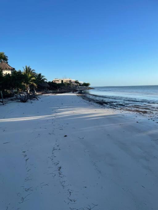 Casa Molly Διαμέρισμα Isla Holbox Εξωτερικό φωτογραφία